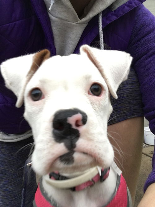 Penelope