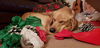 Remington