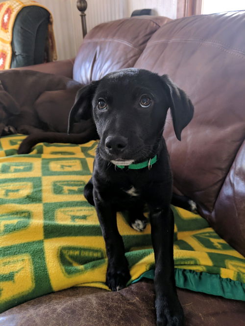 Sam
