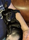 Sam