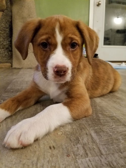 Elsa