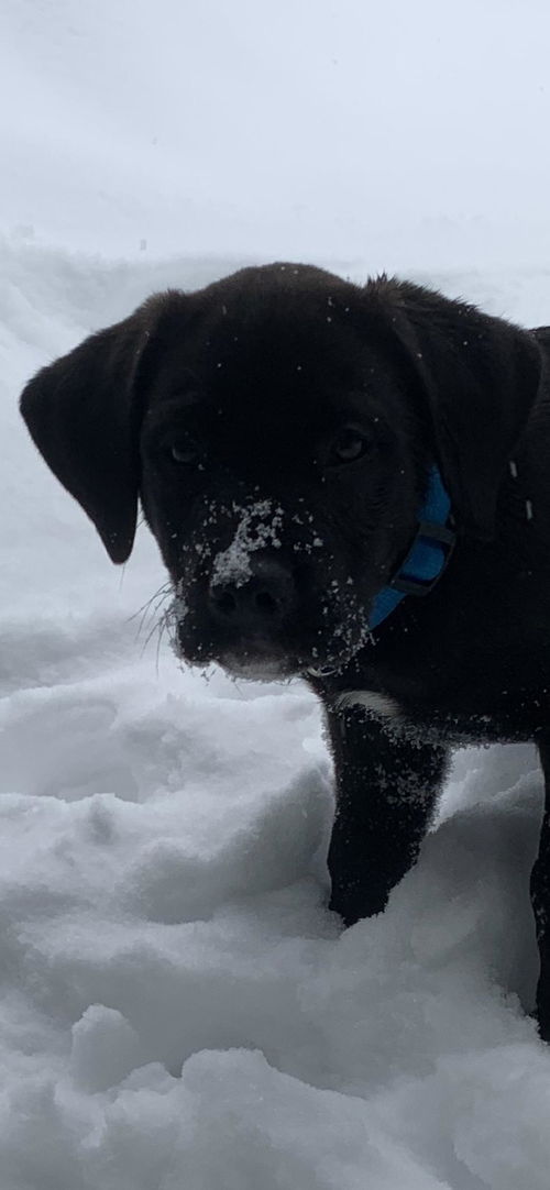 Tucker