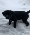 Tucker