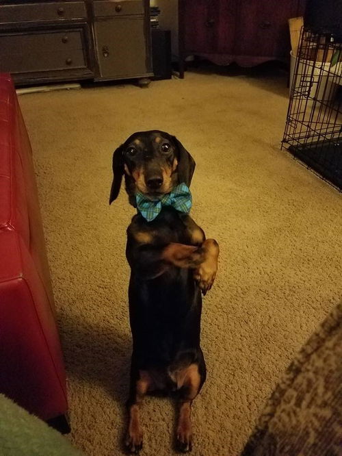 Frank
