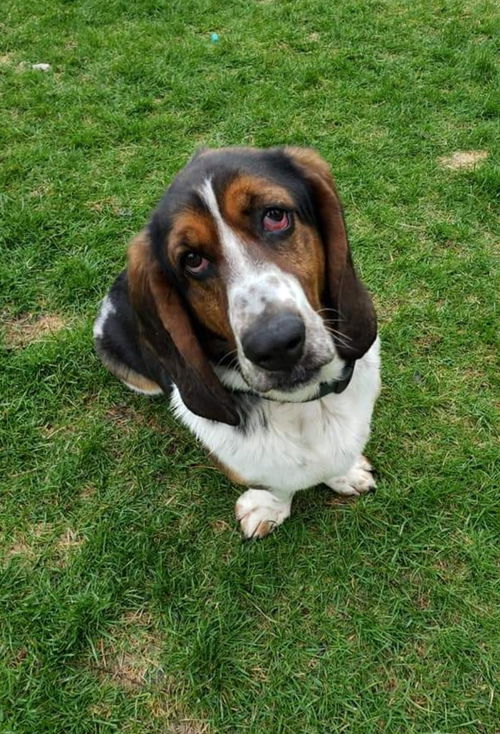 Walter