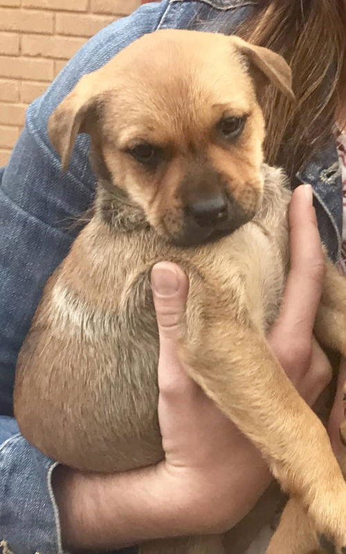Fiona
