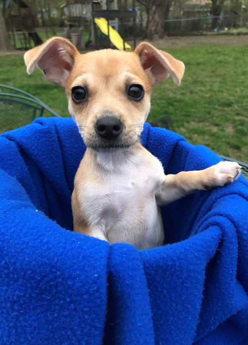 Templeton