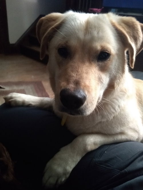 Lucy