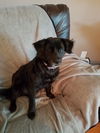 Lily