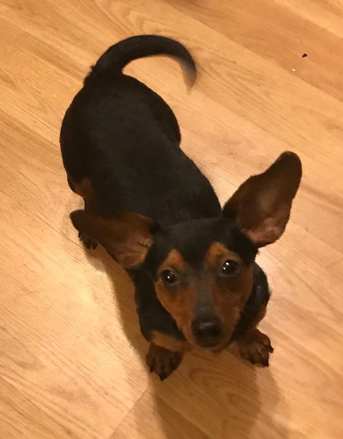 Rocky