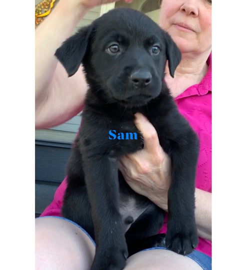 Sam