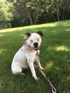 Marley-Rae