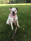 Marley-Rae