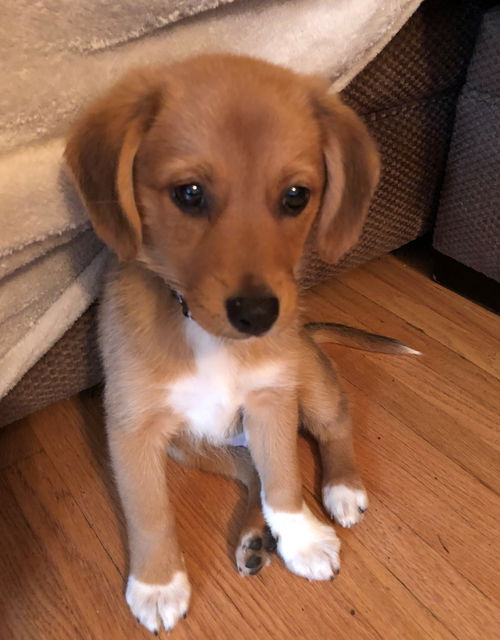 Benny