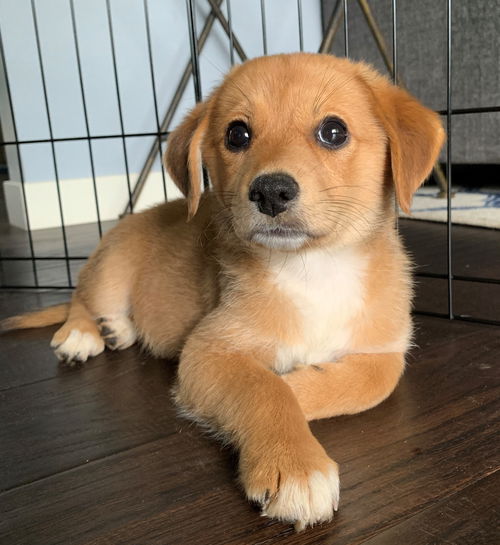 Fiona