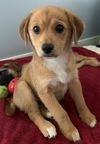 Fiona