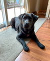 Maggie