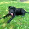 Maggie