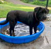 Maggie
