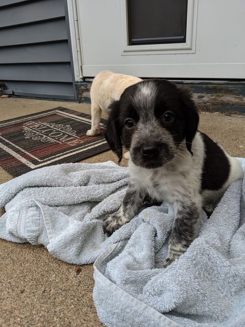 Charlie