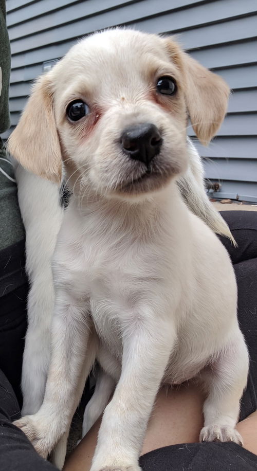 Elsa