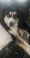 Izzy