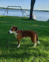 Charlie