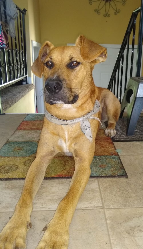 Sammy