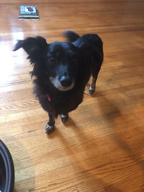 Rosie