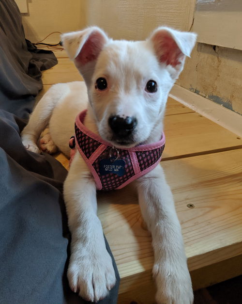 Winnie