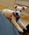 Winnie