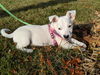 Winnie