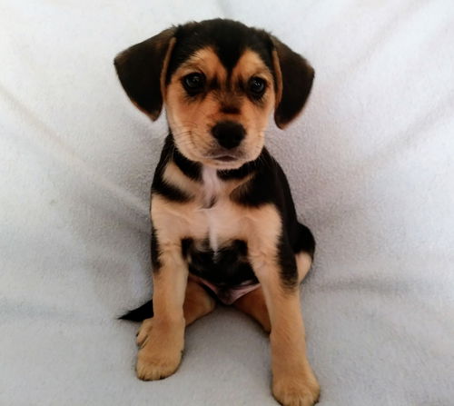 Charlie