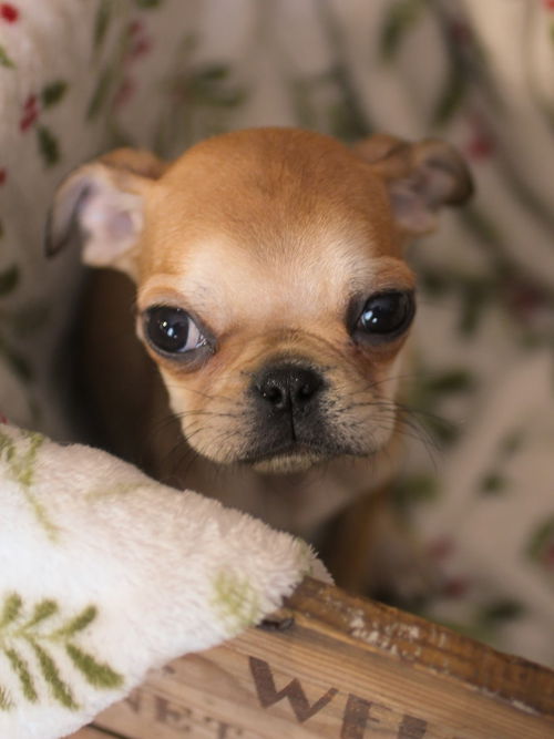 Charlie