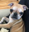 Penny
