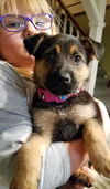 Tilly
