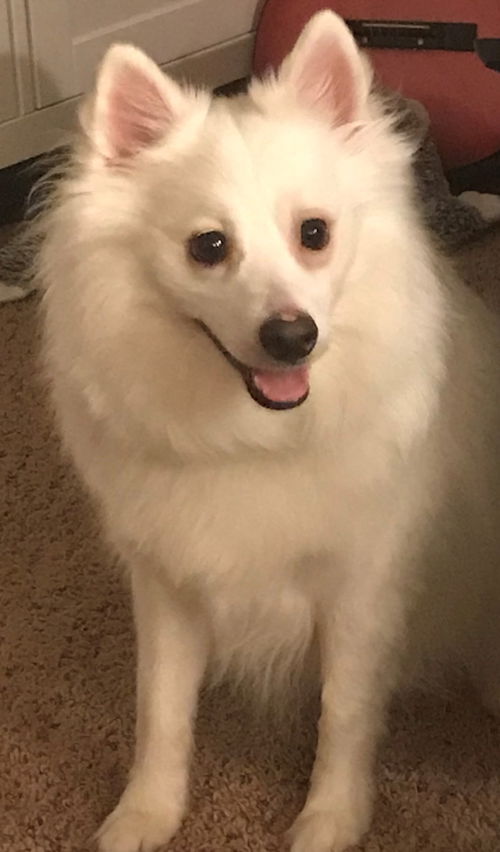 Esko