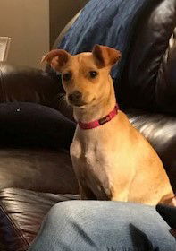 Amelia