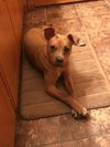 Roxy