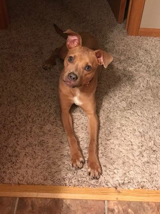 Roxy