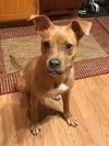 Roxy