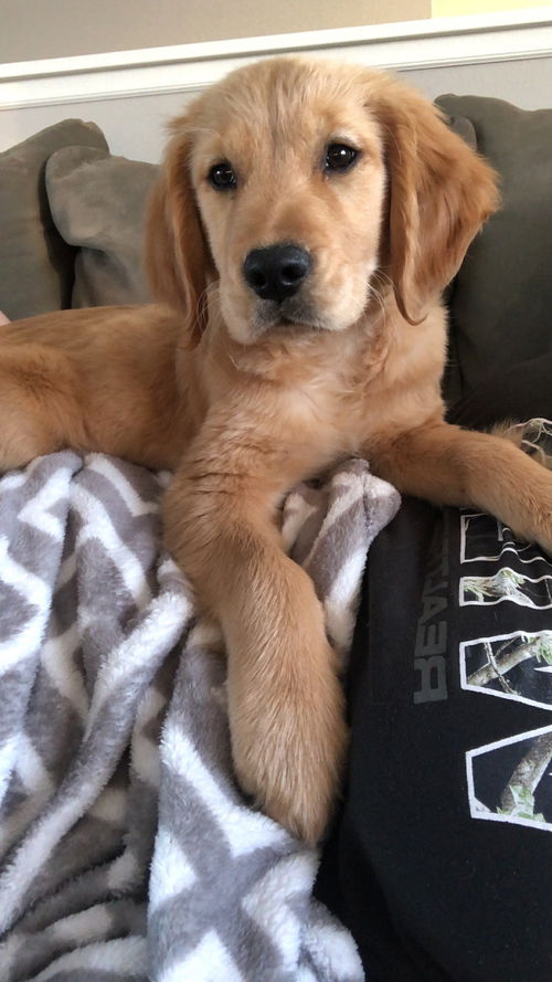 Charlie