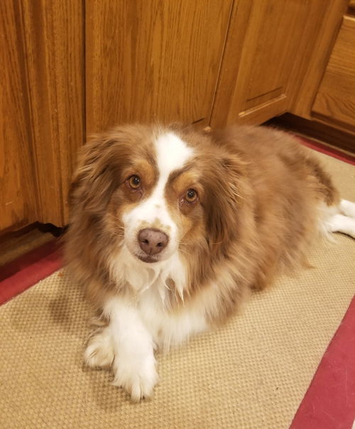 Lucy