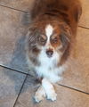 Lucy