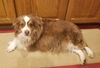 Lucy