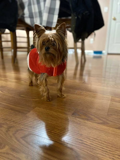 Maggie