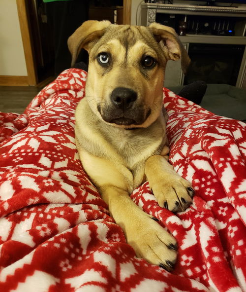 Samantha