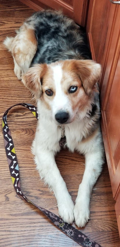 Ellie