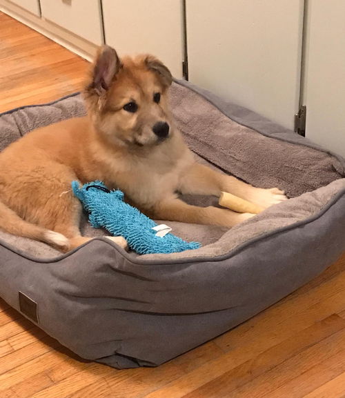 Winston