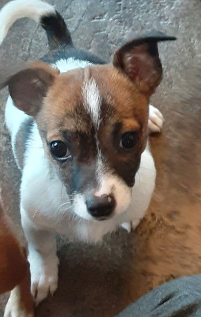Maggie